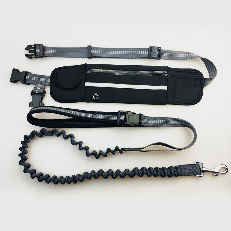 bungee leash