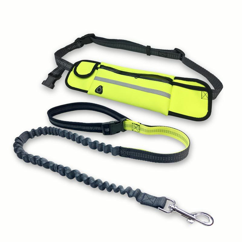 bungee leash