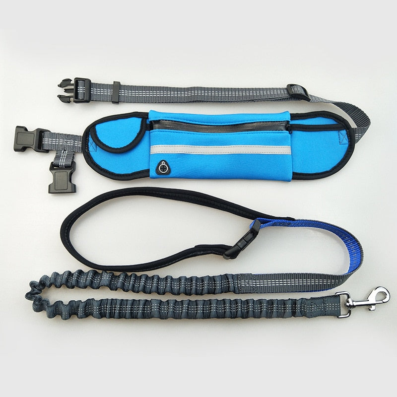 bungee leash