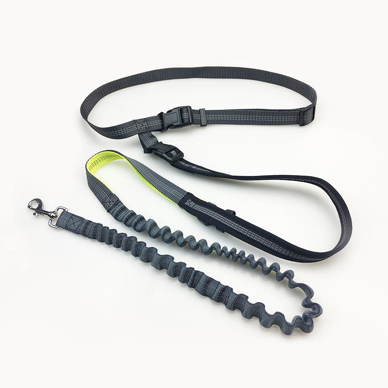 bungee leash