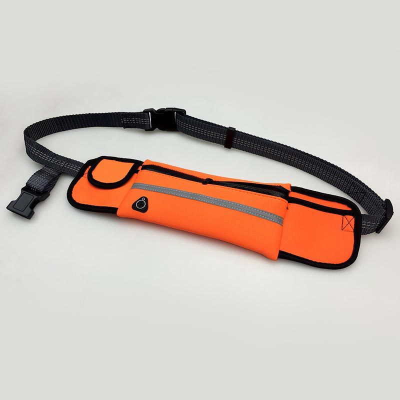 bungee leash