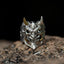 Vintage Mens Horror Demon Skull Ring | Devil Skull Ring