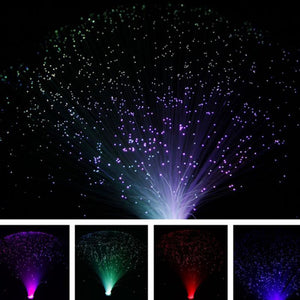 Multicolor Fiber Optic LED Lamp Multicolor Fiber Optic LED Lamp