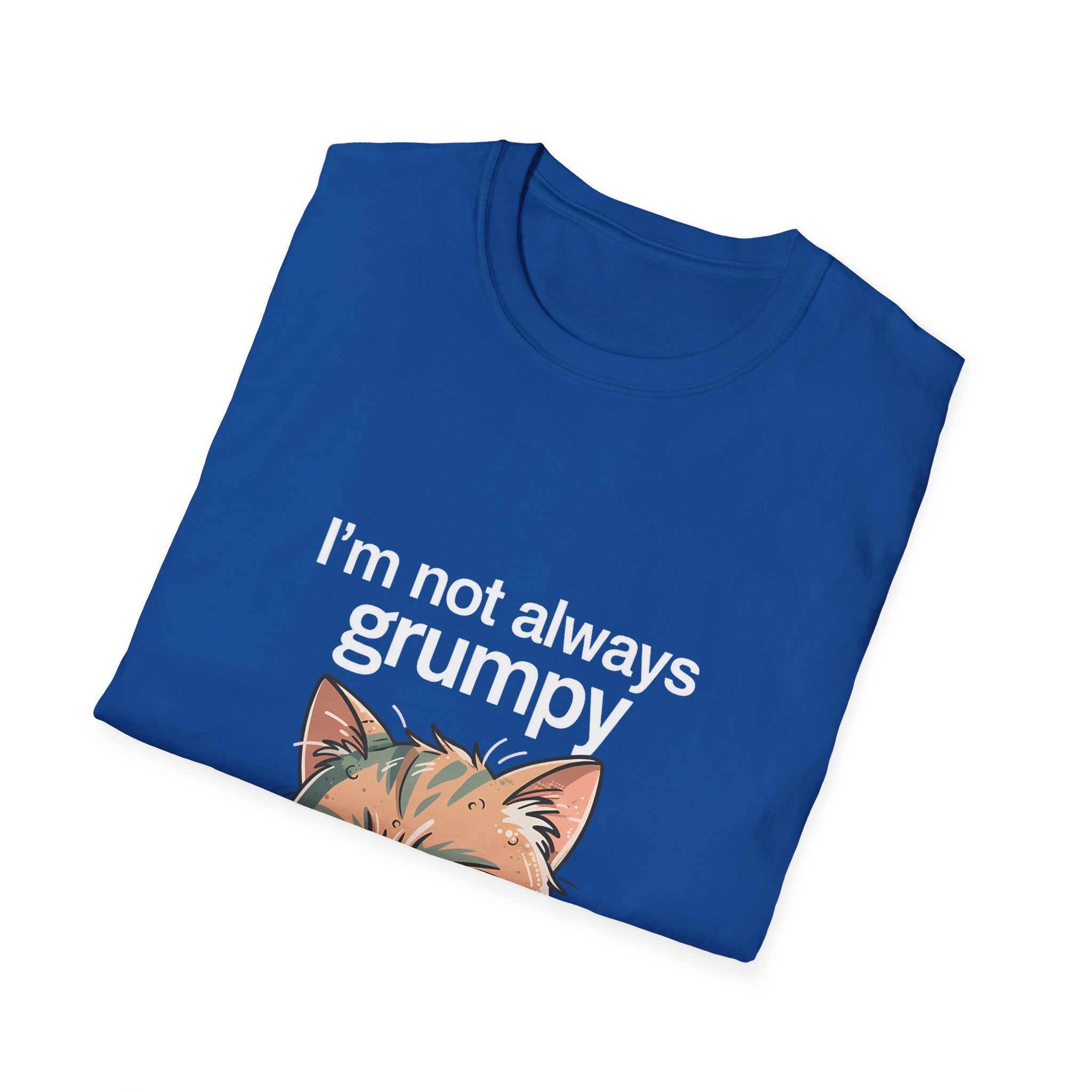 I'm Not Always Grumpy—Sometimes I'm Grouchy 2 Cat T-Shirt