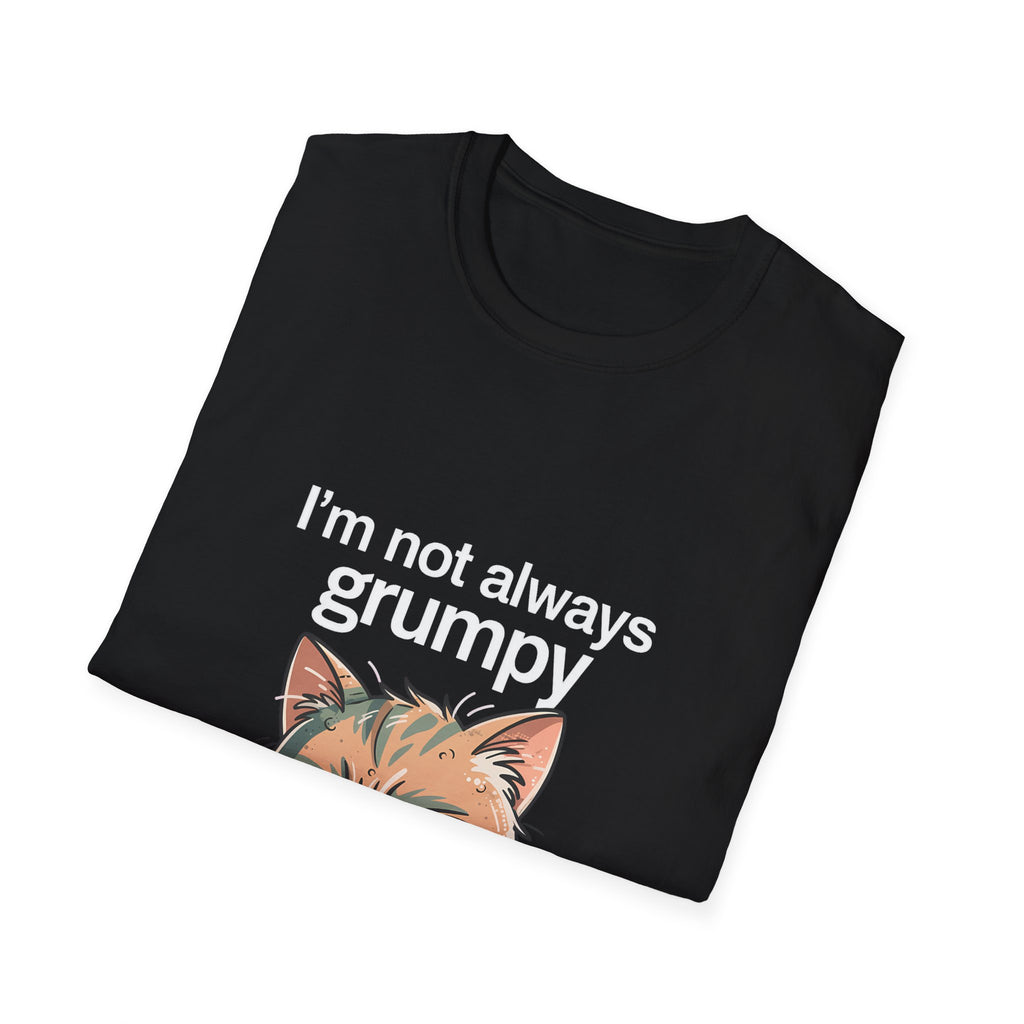 I'm Not Always Grumpy—Sometimes I'm Grouchy 2 Cat T-Shirt