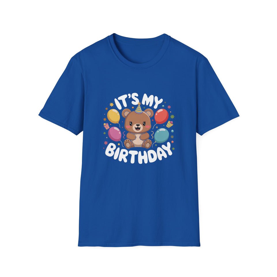 Teddy Bear It's My Birthday Teddy T-Shirt