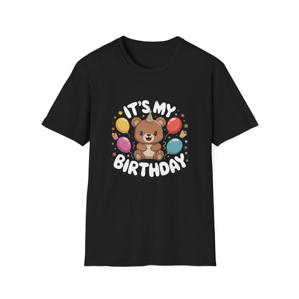 Teddy Bear It's My Birthday Teddy T-Shirt