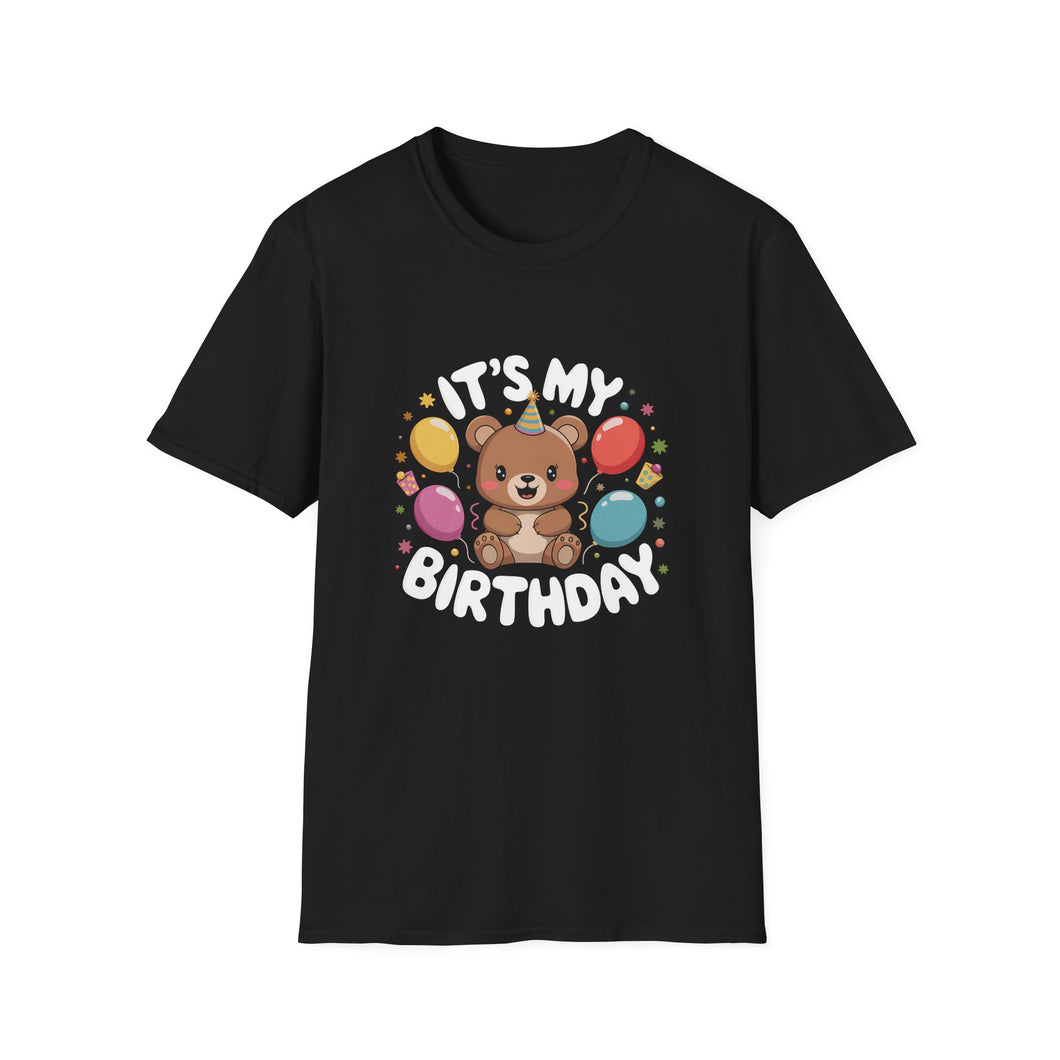 Teddy Bear It's My Birthday Teddy T-Shirt