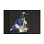Brazilian Jiu Jitsu Rolling Flag Banner | BJJ Flag