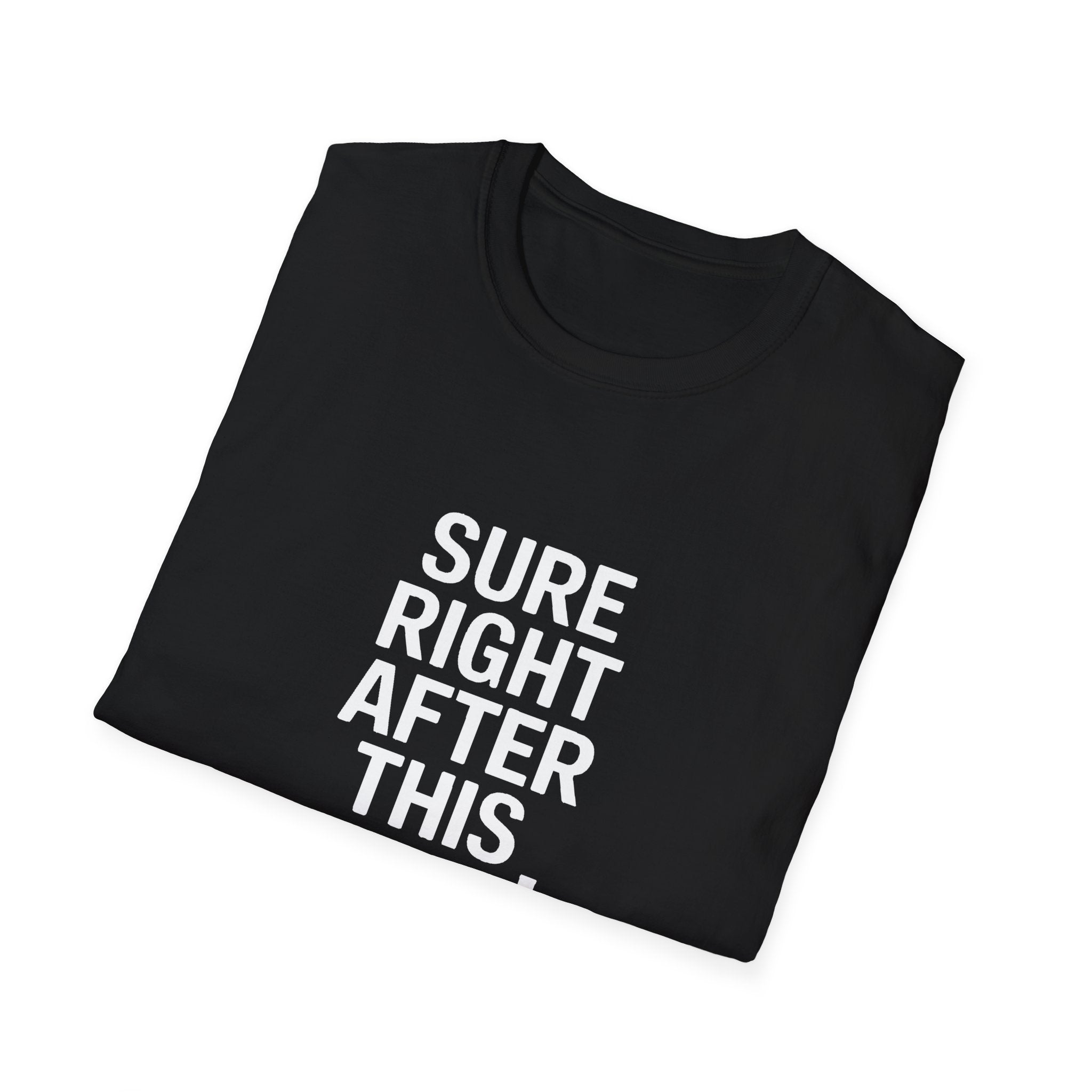 Sure Right After This Raid T-Shirt — Funny RPG/MMORPG Gamer Tee