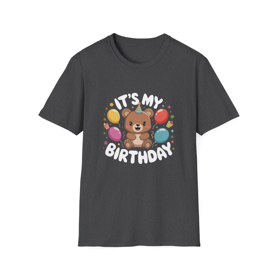 Teddy Bear It's My Birthday Teddy T-Shirt
