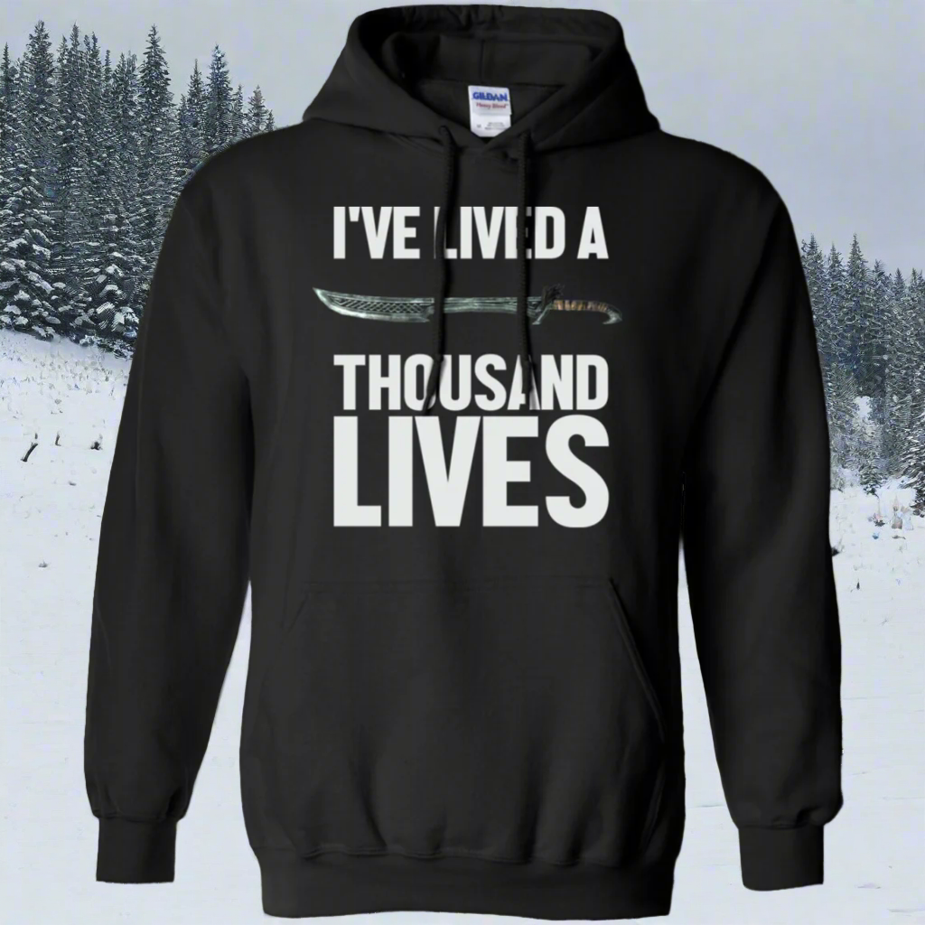 I've Lived A Thousand Lives Fantasy RPG Video Gaming Pullover Hoodie 8 oz. Main image