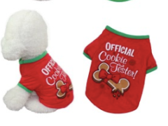 Christmas Dog Jumper Costume For Small Dog Main image