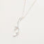 Deer Antler Necklace