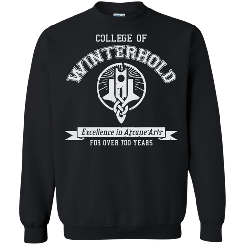 Elder Scrolls Skyrim College of Winterhold