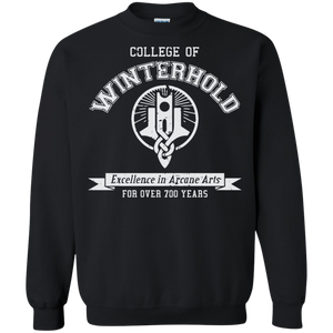 Elder Scrolls Skyrim College of Winterhold