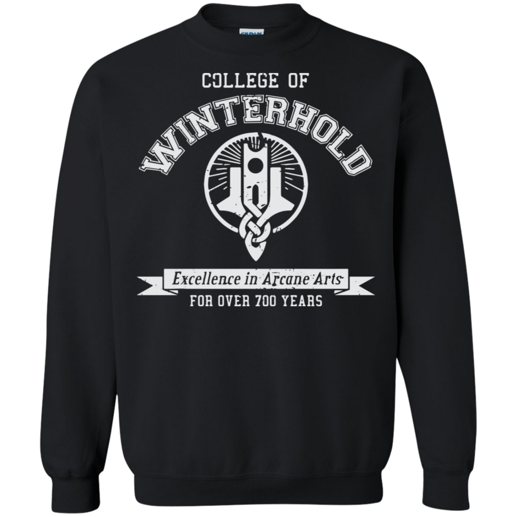 Elder Scrolls Skyrim College of Winterhold