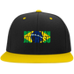 Brazilian Jiu-Jitsu BJJ Brazilian Jiu Jitsu Baseball Cap