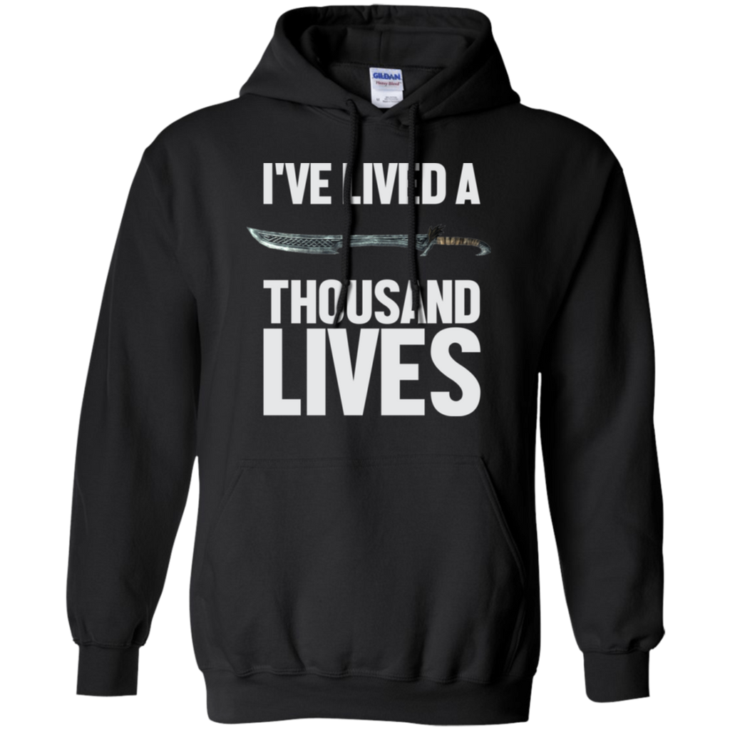 I've Lived A Thousand Lives Fantasy RPG Video Gaming Pullover Hoodie 8 oz.