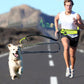 bungee leash