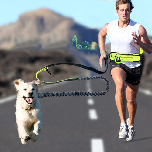 bungee leash