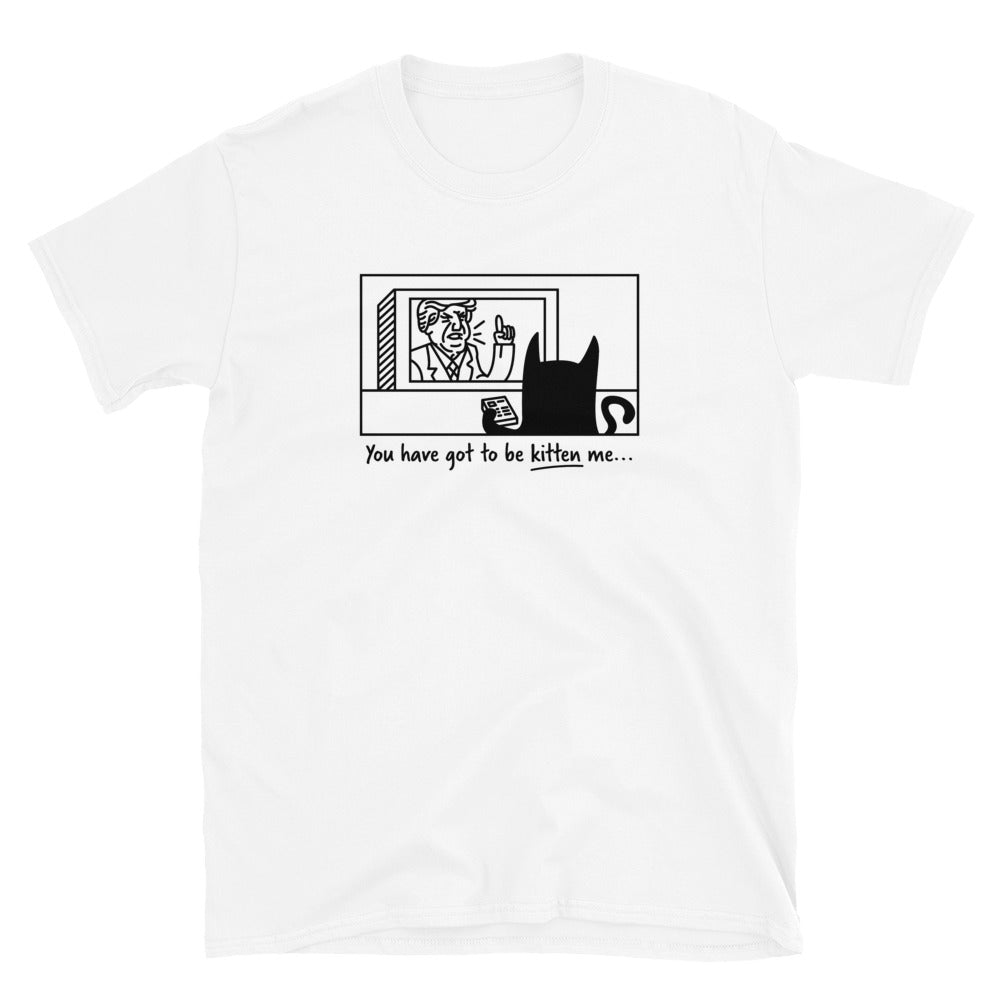 kitten kitty Cat Cats Shirt Cat lover Cats Shirt cat shirts, funny cat shirts, 