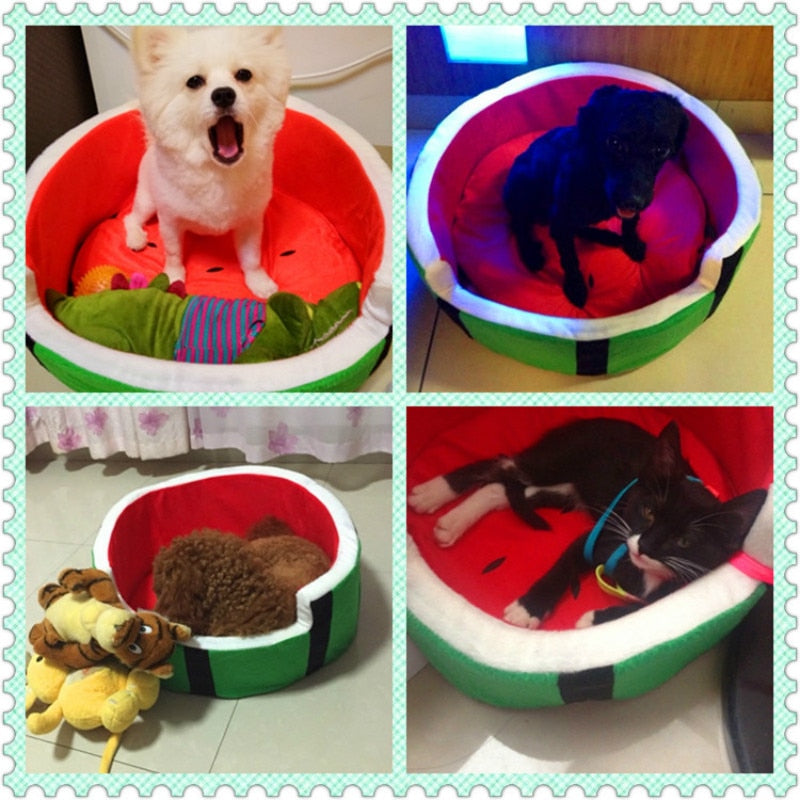 Creative Watermelon Dog & Cat Pet Bed