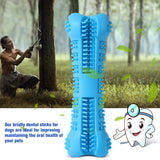 Bowlox Dog Toothbrush Chew Toy Bowlox Dog Toothbrush Chew Toy
