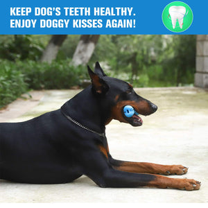 Bowlox Dog Toothbrush Chew Toy Bowlox Dog Toothbrush Chew Toy