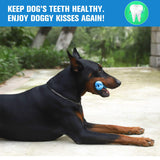Bowlox Dog Toothbrush Chew Toy Bowlox Dog Toothbrush Chew Toy