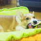 hot dog bed, hot dog dog bed, hot dog sofa, hot dog pet bed, hot dog bun dog bed
