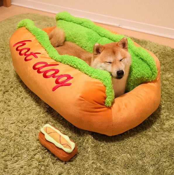 hot dog bed, hot dog dog bed, hot dog sofa, hot dog pet bed, hot dog bun dog bed