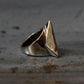 Eye of Providence Illuminati Silver 316L Stainless Steel Ring