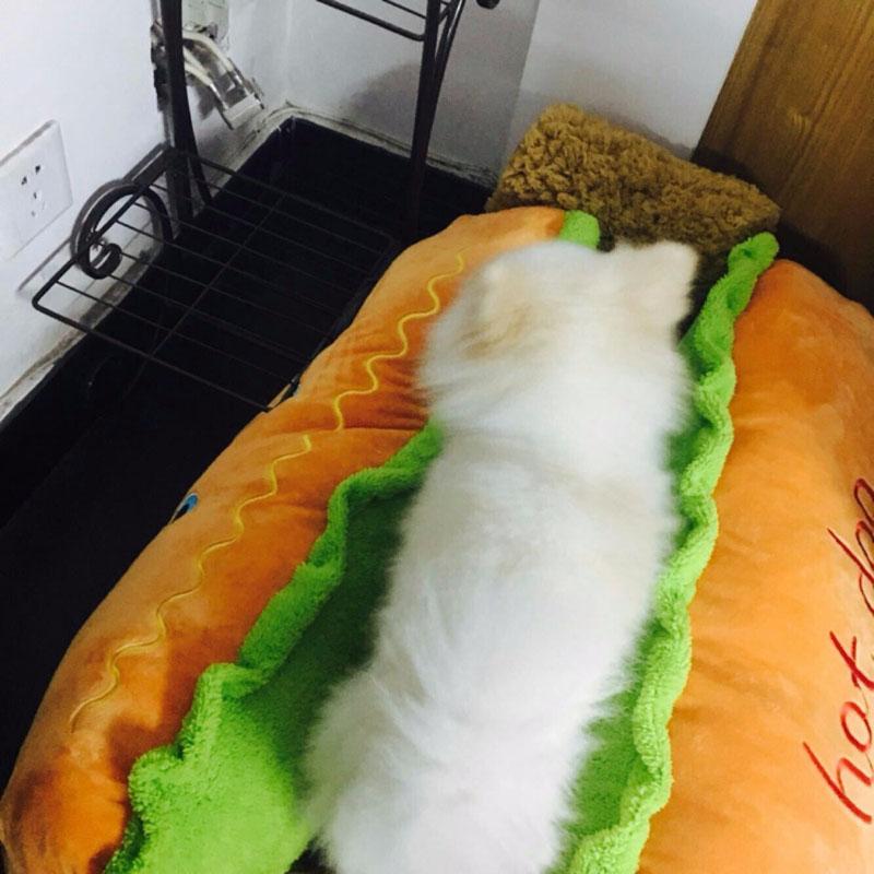 hot dog bed, hot dog dog bed, hot dog sofa, hot dog pet bed, hot dog bun dog bed