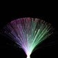 Multicolor Fiber Optic LED Lamp