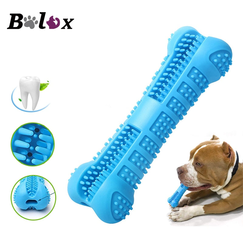 Bowlox Dog Toothbrush Chew Toy Main image