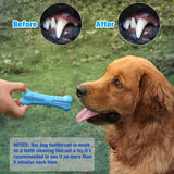 Bowlox Dog Toothbrush Chew Toy Bowlox Dog Toothbrush Chew Toy