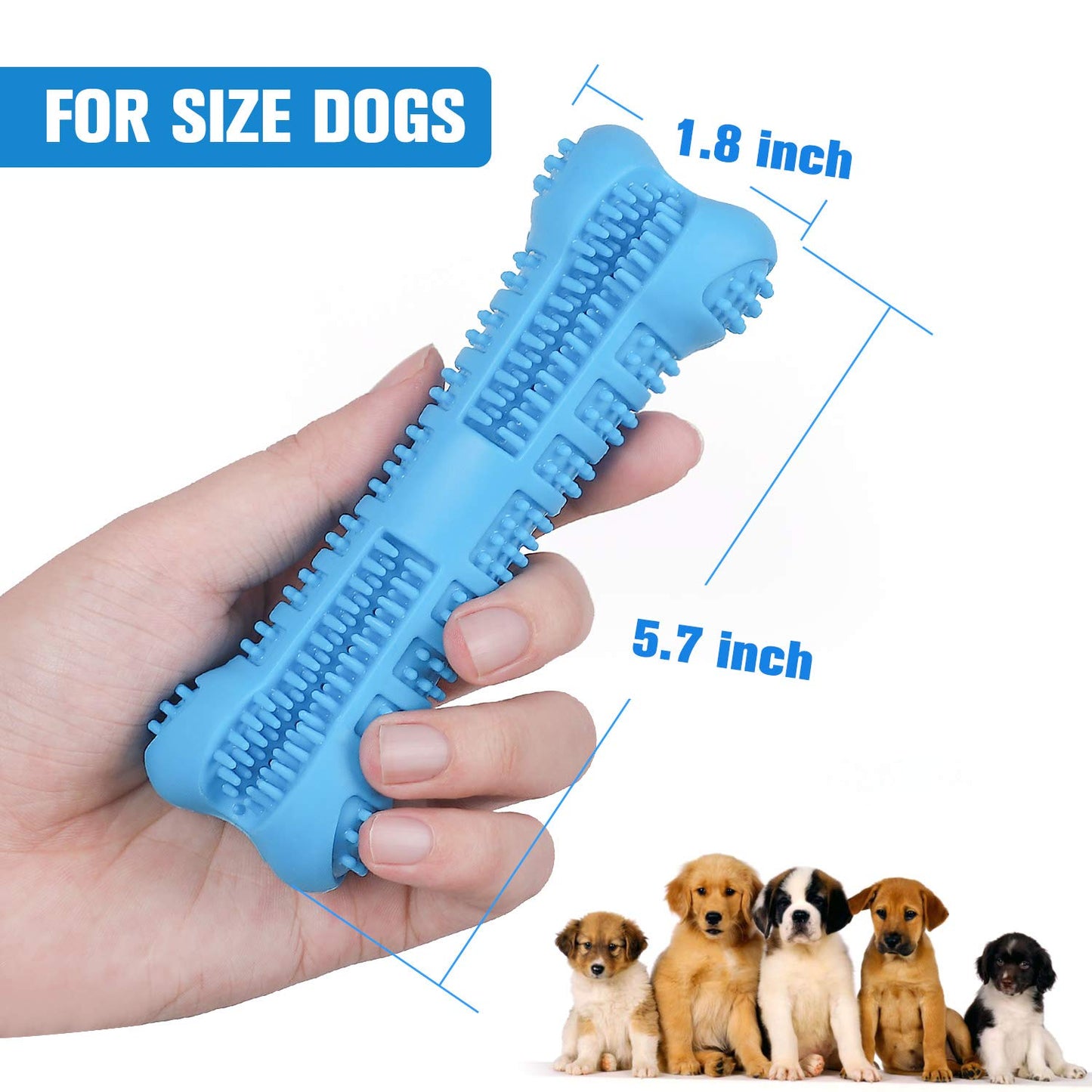 Bowlox Dog Toothbrush Chew Toy