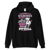 Whoever Said Diamonds Are A Girl's Best Friend Never Had A Pitbull Pink Unisex Hoodie Whoever Said Diamonds Are A Girl's Best Friend Never Had A Pitbull Pink Unisex Hoodie